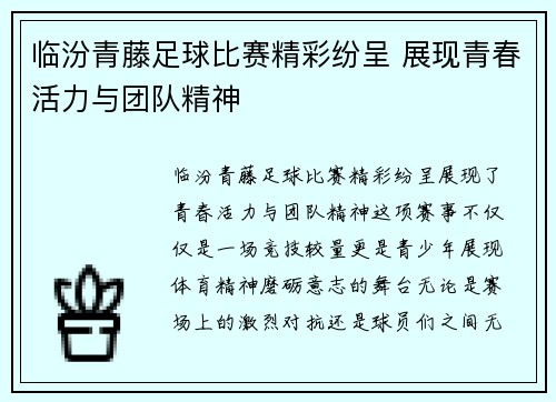 临汾青藤足球比赛精彩纷呈 展现青春活力与团队精神