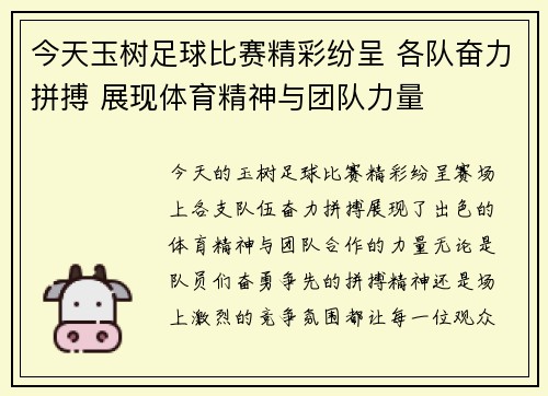 今天玉树足球比赛精彩纷呈 各队奋力拼搏 展现体育精神与团队力量