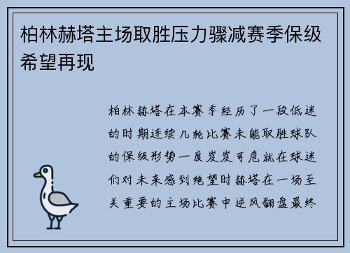 柏林赫塔主场取胜压力骤减赛季保级希望再现